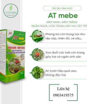 AT Mebe Nấm Xanh Nấm Trắng