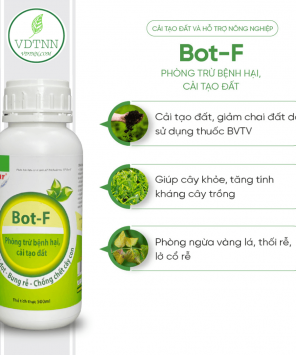 Thông tin Phòng trừ bệnh vàng lá thối rễ, lở cô rễ – Bot-F 500ml