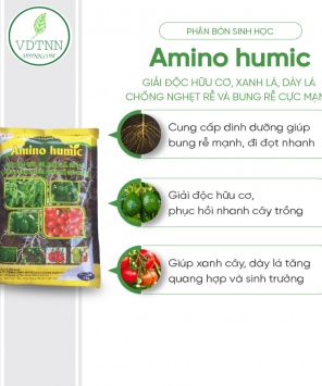 Kich-thich-ra-re-manh-di-choi-nhanh-AT-Amino-Humic-1kg-1