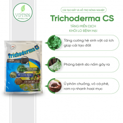 Ủ phân, tưới cải tạo đất – Trichoderma CS 1kg - 2