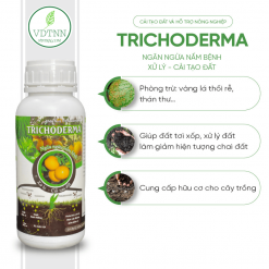 Ủ phân, tưới cải tạo đất Trichoderma 500ml -2