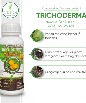 Ủ phân, tưới cải tạo đất Trichoderma 500ml -2