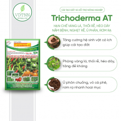 U_phan_Cai_tao_va_phuc_hoi_dat_Trichoderma_AT_1kg-2