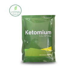 AT Ketomium 500g VDTNN