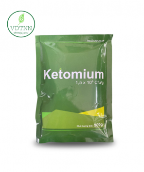 AT Ketomium 500g VDTNN