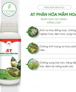 at-phan-hoa-mam-hoa-500ml-1