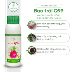 chong-lem-trai-thoi-trai-at-bao-trai-q99-100ml-1