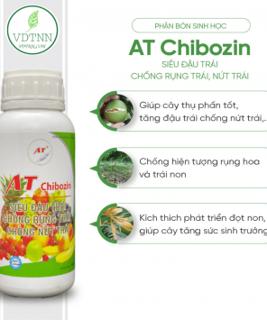 chong-rung-trai-non-chong-nut-trai-at-chibozin-500ml-1