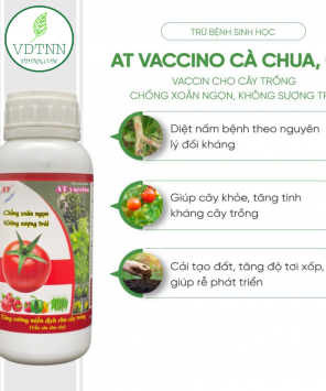 chong-xoan-ngon-khong-suong-trai-at-vaccino-ca-chua-ot-500ml-1