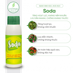 tang-tham-thau-luu-dan-va-bam-dinh-at-soda-100ml-1