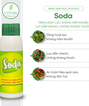 tang-tham-thau-luu-dan-va-bam-dinh-at-soda-100ml-1