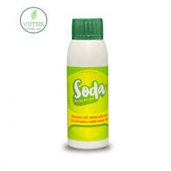 tang-tham-thau-luu-dan-va-bam-dinh-at-soda-100ml