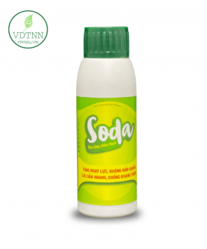 tang-tham-thau-luu-dan-va-bam-dinh-at-soda-100ml