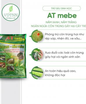 tru-sau-au-trung-sung-trong-dat-bang-nam-ky-sinh-nam-xanh-nam-trang-nam-3-mau-at-mebe-1kg-1