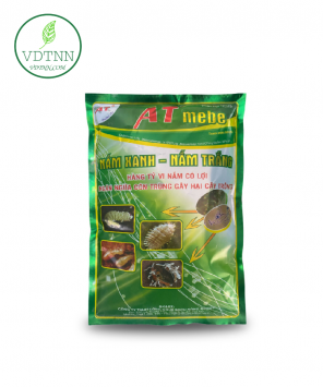 tru-sau-au-trung-sung-trong-dat-bang-nam-ky-sinh-nam-xanh-nam-trang-nam-3-mau-at-mebe-1kg