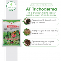 Ủ phân, Cải tạo đất – Trichoderma AT 1kg -2