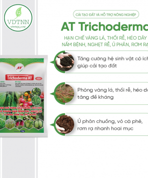 Ủ phân, Cải tạo đất – Trichoderma AT 1kg -2