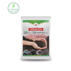 Ủ phân chuồng, Ủ vỏ cà phê, rơm rạ – Trichoderma Bacillus – Trichoderma AT