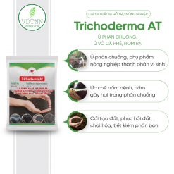 Ủ phân chuồng, Ủ vỏ cà phê, rơm rạ – Trichoderma Bacillus – Trichoderma AT -2