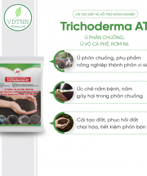 Ủ phân chuồng, Ủ vỏ cà phê, rơm rạ – Trichoderma Bacillus – Trichoderma AT -2