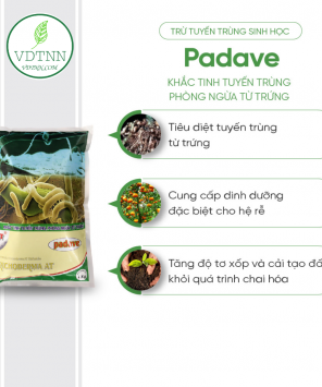 xu-ly-tuyen-trung-trong-dat-at-padave-1kg-1