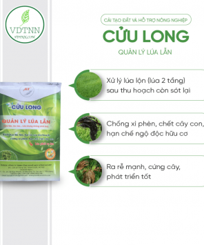 xuly-lua-lan-lua-2-tang-nhanh-chong-va-hieu-qua-at-cuu-long-1