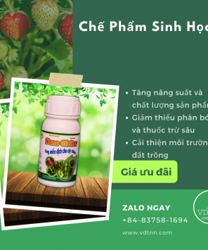 Chế Phẩm Sinh Học