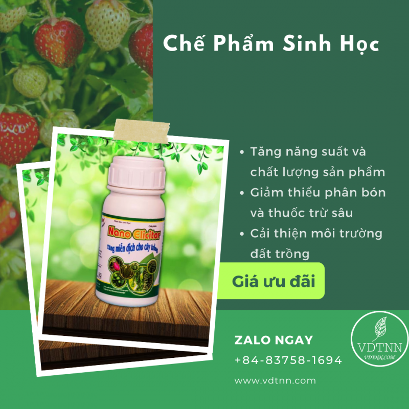 Chế Phẩm Sinh Học