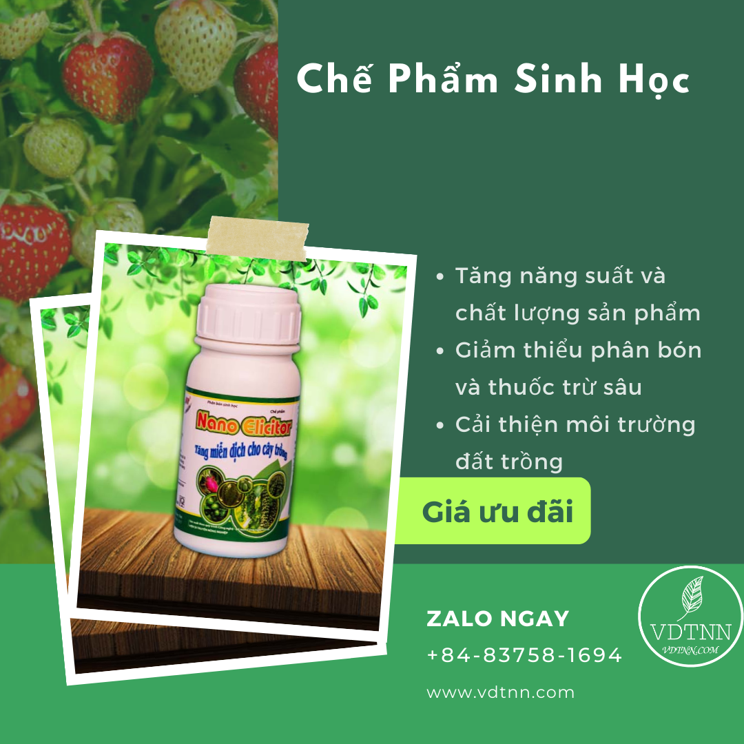 Chế phẩm sinh học của VDTNN