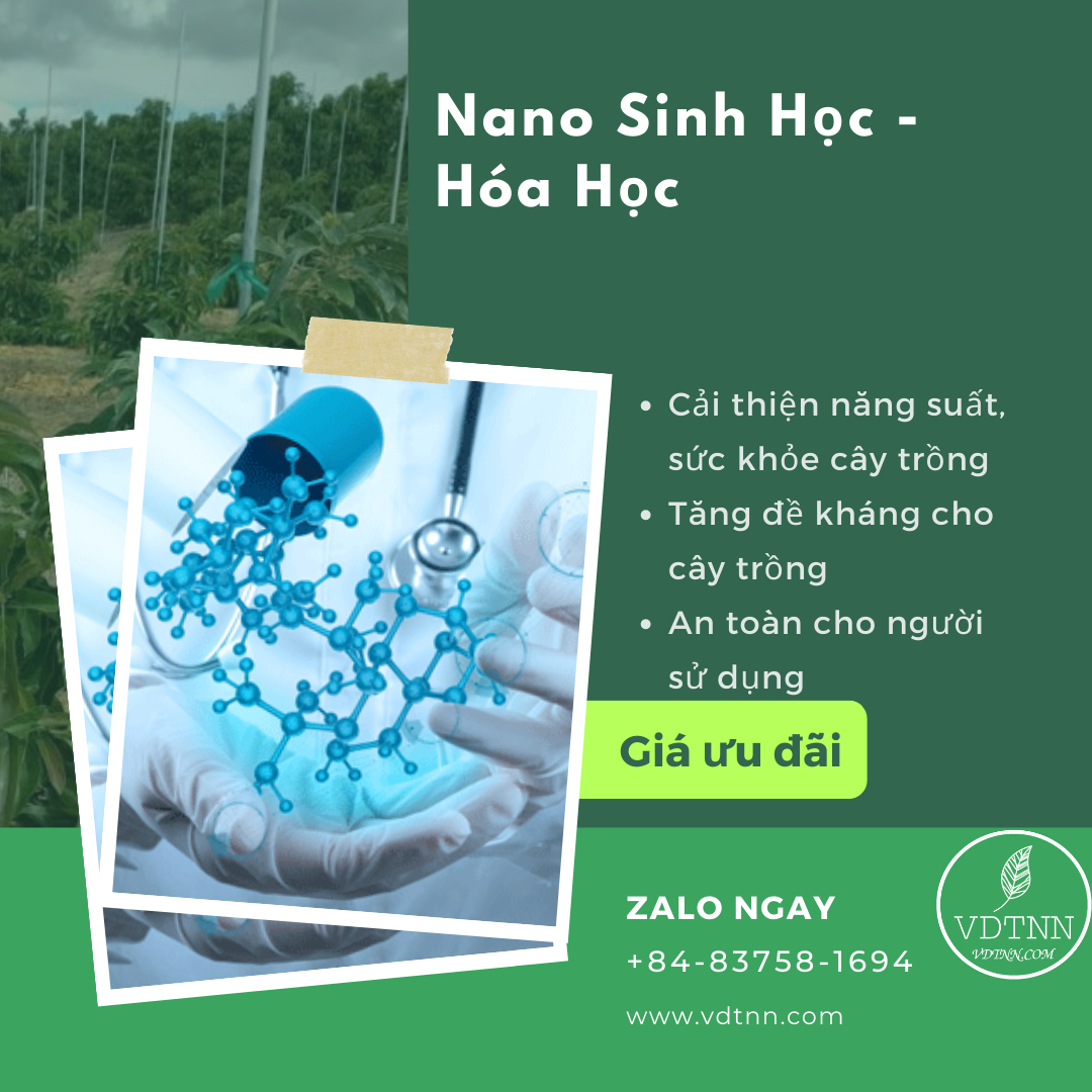 Nano Sinh Học - Hóa Học