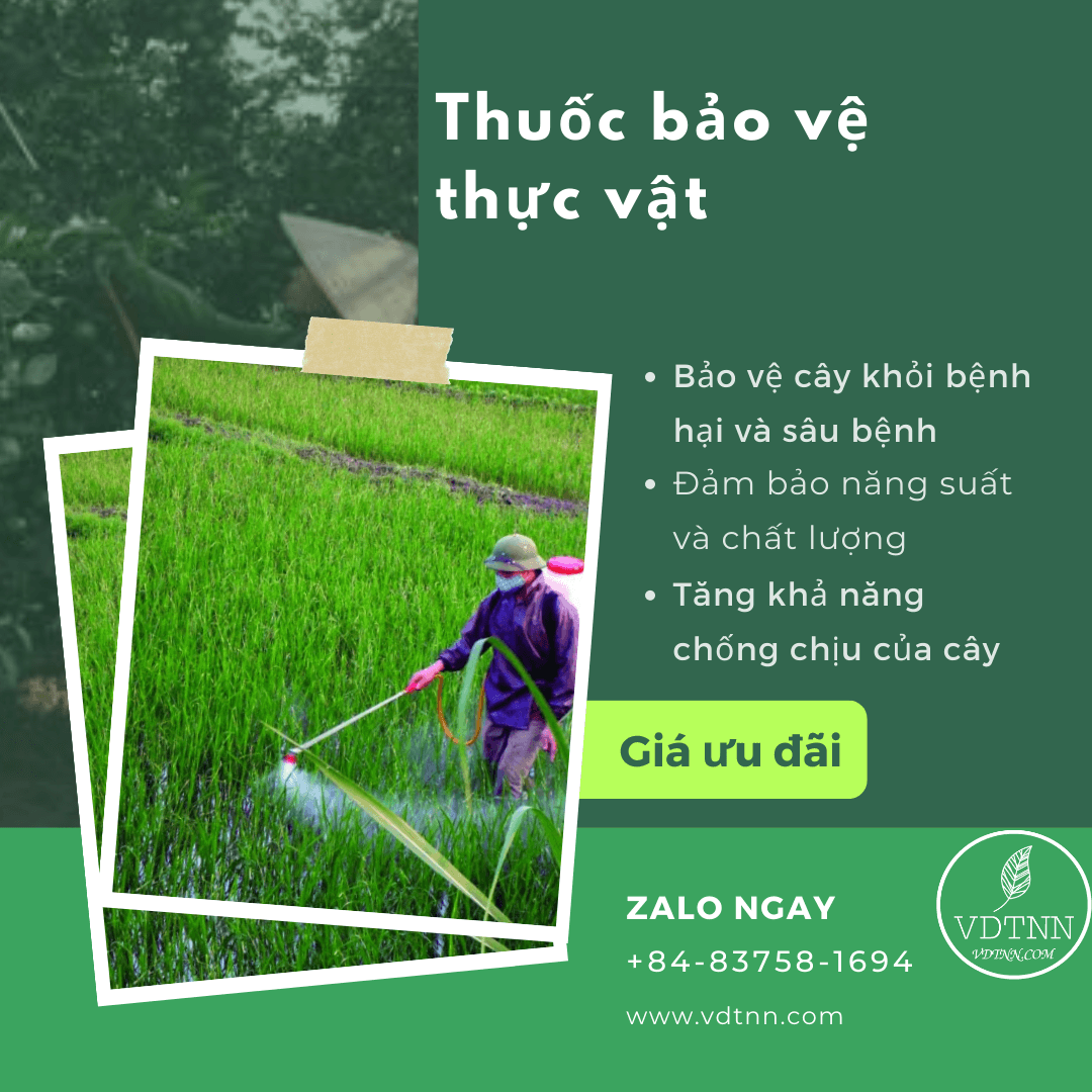 Thuốc bảo vệ thực vật VDTNN