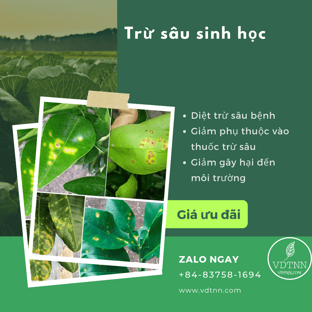 Trừ sâu sinh học vdtnn