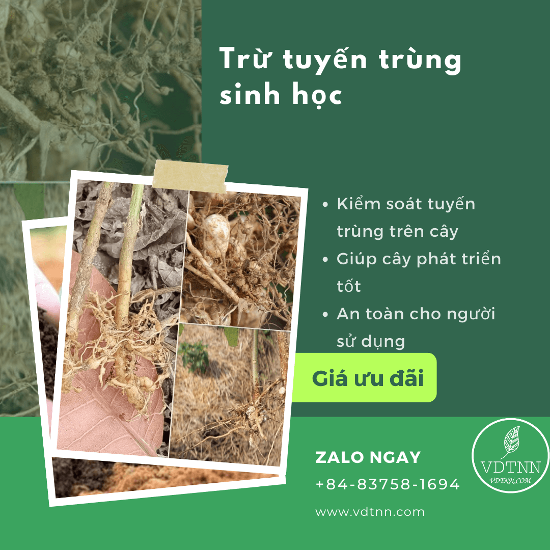 Trừ tuyến trùng sinh học VDTNN